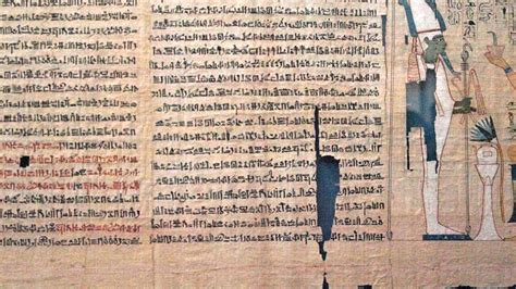 xxgfi|Egyptian Junus .